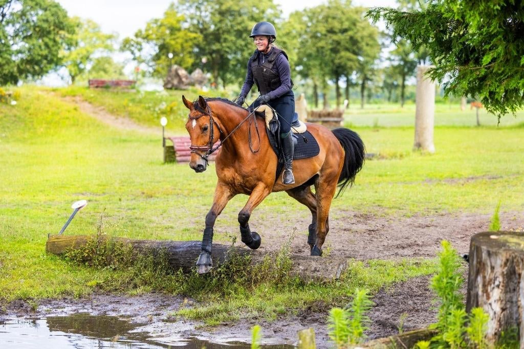 12 jarige recreatie ruin, Dieren en Toebehoren, Paarden, Ruin, 170 tot 175 cm, 11 jaar of ouder, Recreatiepaard
