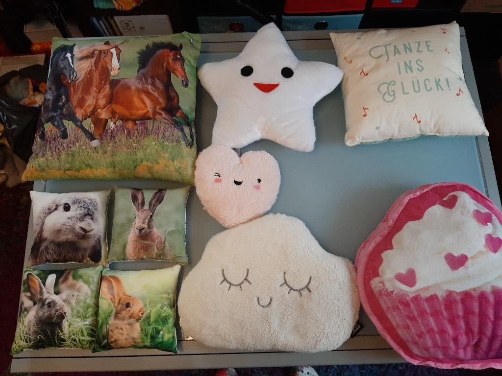Diverse kussens ook met dieren - 10 stuks groot en klein, Huis en Inrichting, Woonaccessoires | Kussens, Ophalen of Verzenden