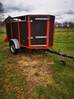 Gezocht drachtige merrie s en veetrailer, Merrie