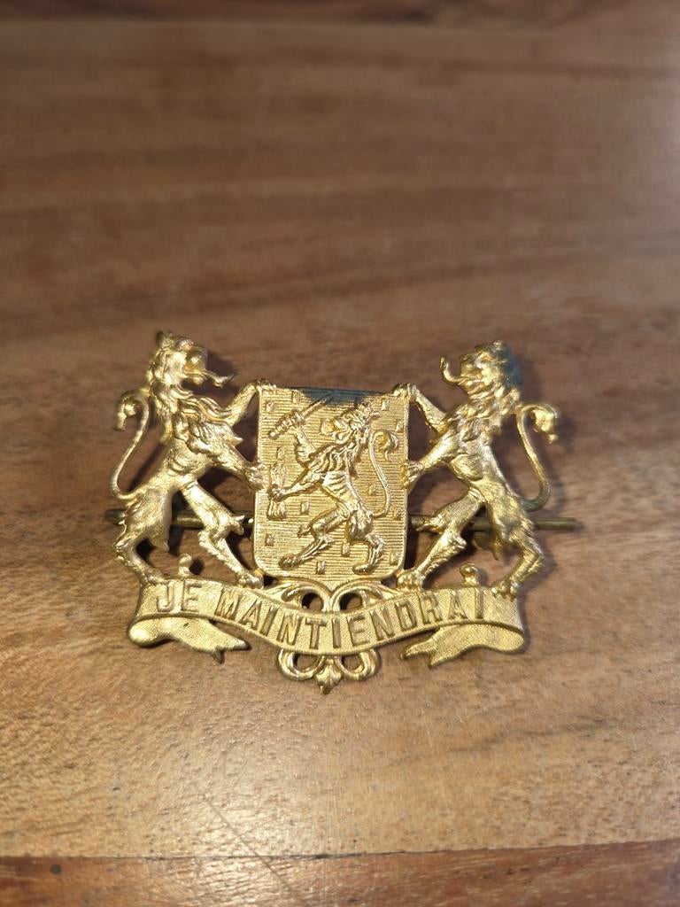 Embleem gemeente politie/douane, Verzamelen, Ophalen of Verzenden, Landmacht, Nederland, Embleem of Badge
