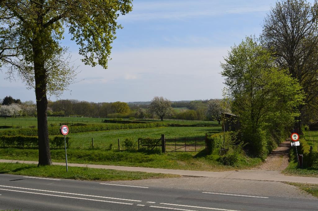 Weiland te huur Cadier en Keer, Dieren en Toebehoren, Weidegang, 2 of 3 paarden of pony's