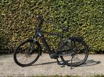 Pegasus Opero EVO 5f Elektrische Fiets, Fietsen en Brommers, Gebruikt, 50 km per accu of meer, 55 tot 59 cm, Ophalen