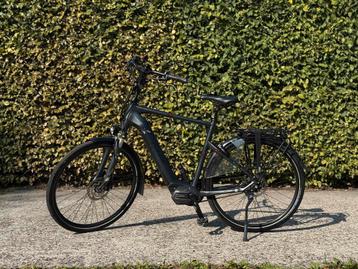 Pegasus Opero EVO 5f Elektrische Fiets beschikbaar voor biedingen