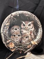 Uilen Nest met Jongen - Houten wandbord, Ophalen of Verzenden, Nieuw