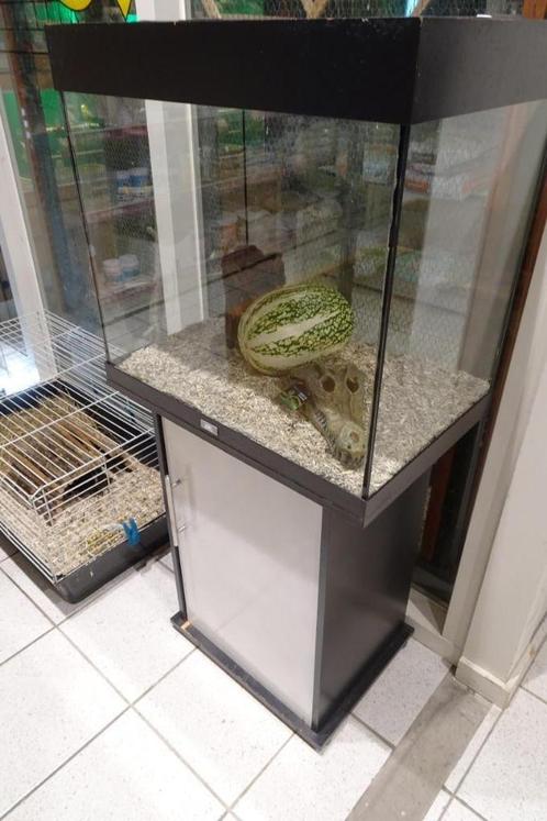 Gebruikt aquarium., Dieren en Toebehoren, Vissen | Aquaria en Toebehoren, Gebruikt, Leeg aquarium, Ophalen