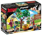 PLAYMOBIL 70933 Asterix Panoramix Toverdrank 57 delig