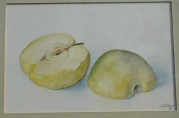Aquarel 'Appel' Milly Cammaert '83 in goede staat. beschikbaar voor biedingen
