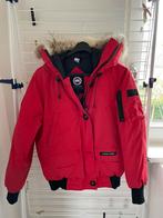 Canada goose bomberjack, Gedragen, Canada Goose, Maat 36 (S), Jack