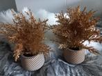 Kerst: 2 goud kleurige kerstboompje in stenen potje, Huis en Inrichting, Ophalen of Verzenden, Zo goed als nieuw, Binnen