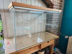Glazen gerbilkooi (40x80), Dieren en Toebehoren, Ophalen, Zo goed als nieuw