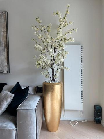 Luxe schelpenvazen met bloesem boom beschikbaar voor biedingen