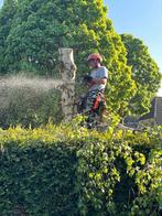Boom kappen | klimmend verwijderen | snoeien | rooien, Diensten en Vakmensen, Tuinmannen en Stratenmakers, Garantie, Tuinonderhoud of Snoeiwerk