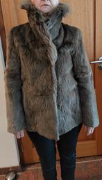 Jas van echt konijnenbont, Ophalen of Verzenden, Gedragen, Maat 38/40 (M), Overige kleuren