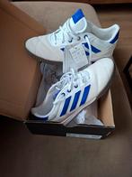 Copa gloro indoor maat 44 2/3, Kleding | Heren, Schoenen, Ophalen of Verzenden, Nieuw