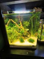 Super leuke  modern 35 cm compleet aquarium in Rotterdam, Ophalen, Zo goed als nieuw, Leeg aquarium