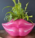 Richmond lippenvaas, Ophalen, Volle zon