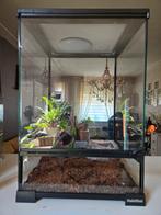 Nooit gebruikte terrarium, Dieren en Toebehoren, Reptielen en Amfibieën | Toebehoren, Ophalen, Zo goed als nieuw, Terrarium of Paludarium