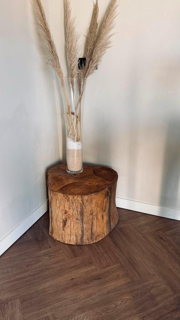 Boomstam Salontafel - Uniek & Natuurlijk, Huis en Inrichting, Tafels | Salontafels, Gebruikt, Minder dan 50 cm, 50 tot 100 cm