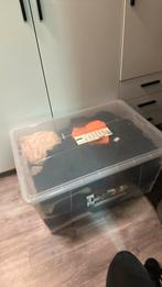 Dames kleding maat S 34/36, Antiek en Kunst, Antiek | Kleding en Accessoires, Ophalen, Dames