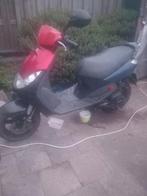 Scooter vivacity peugeot  25 km, Dieren en Toebehoren, Pluimvee, Mannelijk, Eend