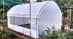 TUNNELKAS-BROEIKAS-TOP PROFI HAUS 2,6x4m - 2,6x6m, Staal, Folie, Verzenden, Kweekkas