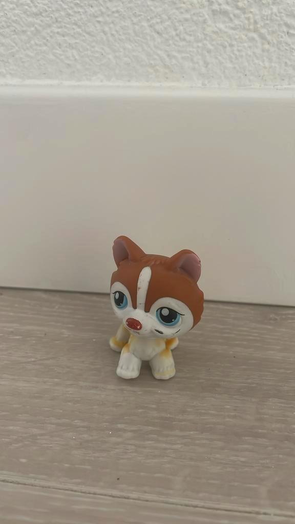 Littles pet shop, Verzamelen, Poppetjes en Figuurtjes, Gebruikt, Ophalen of Verzenden