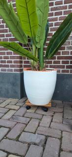 grote witte stenen pot bloempot plantenpot, Tuin en Terras, Bloempotten, Ophalen, Gebruikt, Rond, Steen
