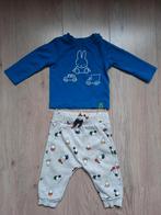 Nijntje Miffy Kledingsetje Longsleeve Broekje Setje Maat 74, Kinderen en Baby's, Babykleding | Maat 74, Ophalen of Verzenden, Zo goed als nieuw