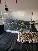 Aquarium, Dieren en Toebehoren, Ophalen of Verzenden, Zo goed als nieuw, Leeg aquarium