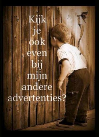 HEMA trui grijs wol maat M - nieuw -, Kleding | Dames, Truien en Vesten, Nieuw, Maat 38/40 (M), Grijs, Ophalen of Verzenden