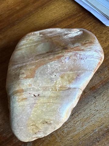 Versteend hout fossiel genezende steen 417 gr beschikbaar voor biedingen