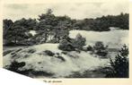 (388-411-031) Nederland In de duinen, Verzenden