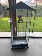 Vogelkooi, Ophalen, Zo goed als nieuw, Metaal, Vogelkooi
