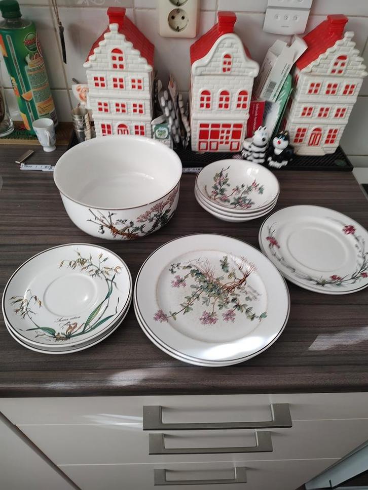 Botanica Servies Mix - Bord, Kom, Schotel, Huis en Inrichting, Keuken | Servies, Gebruikt, Bord(en), Overige stijlen, Aardewerk