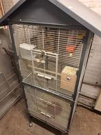 Kanaries en rijstvogels tekoop inclusief kooien, Meerdere dieren