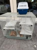 Hamsterkooi en reiskooitje, Kooi, Minder dan 75 cm, Hamster, Ophalen