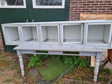Mooi hok beschikbaar voor biedingen