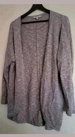 Gevlamd dames vest M&S mode, Ophalen, Gedragen, Grijs