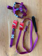 Honden tuigje, lijn en halsbans Reddingo, maat M. Nieuw, Ophalen of Verzenden, Nieuw