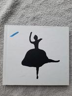 Pet Shop Boys  the most incredible things 2cd, Ophalen of Verzenden, 1980 tot 2000, Gebruikt