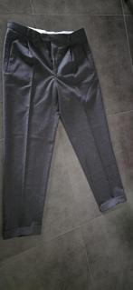 Dormeuil pantalon maat 50, Ophalen of Verzenden, Gedragen, Maat 48/50 (M), Overige kleuren