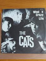 The Cats what a Crazy Life, Ophalen of Verzenden, Gebruikt, Pop