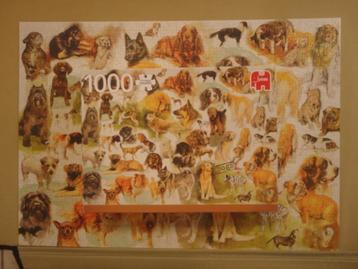Te koop: Legpuzzle "Dogs" van Jumbo beschikbaar voor biedingen