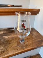 Hoegaarden Julius bierglas, Ophalen of Verzenden, Zo goed als nieuw, Glas of Glazen, Overige merken