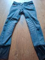 Animo broek d36, Dieren en Toebehoren, Paardrijkleding, Animo.com, Animo.com, Dressuur, Animo