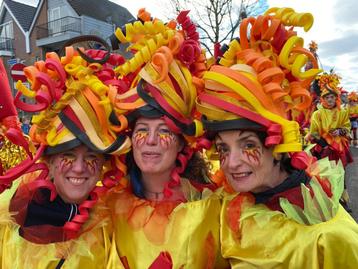 Grote loopgroep 35 personen carnaval  beschikbaar voor biedingen