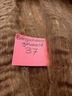 nr 37 Gekaarde wol van een bergschaap 2,2 kg, Ophalen of Verzenden