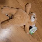 beer nieuw, Ophalen of Verzenden, Nieuw, Beer