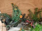 Aquarium/Terrarium kunstplanten 7, Dieren en Toebehoren, Vissen | Aquaria en Toebehoren, Ophalen, Plant(en), Steen of Hout