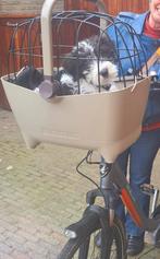 Basil hondenfietsmand voorop, Dieren en Toebehoren, Honden-accessoires, Ophalen, Zo goed als nieuw